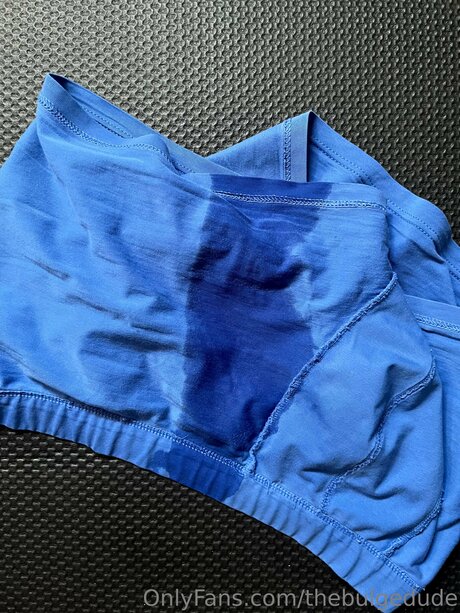 Thebulgedude Leak von OnlyFans-Inhalten