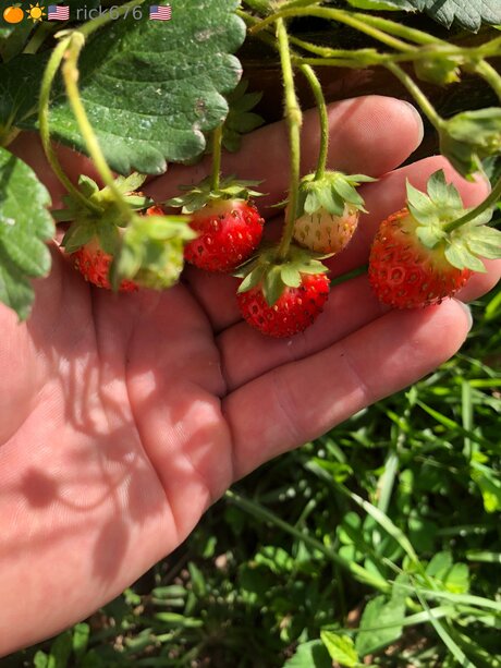 Rick676 Nacktbilder von OnlyFans geleakt