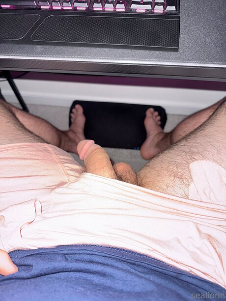 Emsealion OnlyFans geleakte Pornografie