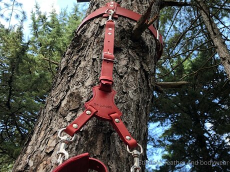 Stilldom Nackt auf OnlyFans