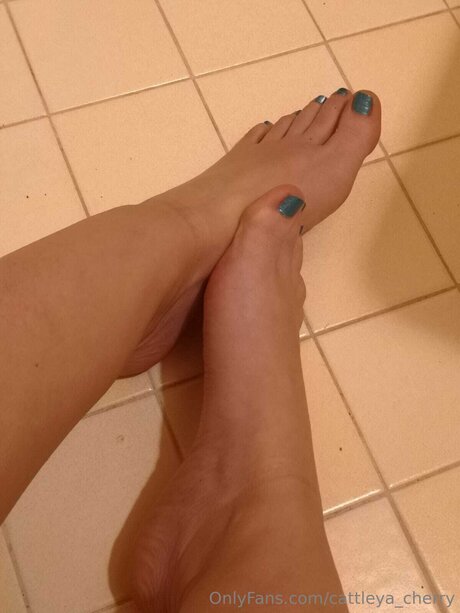 Cattleya Cherry OnlyFans kostenlos