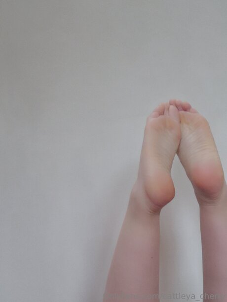 Cattleya Cherry Nackt OnlyFans