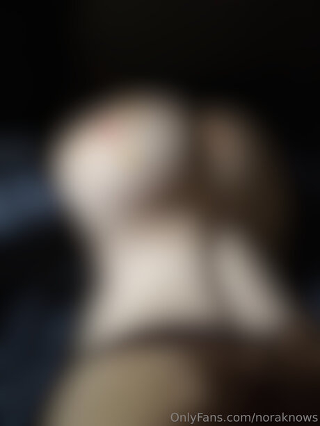 Noraknows OnlyFans Leaks Sex