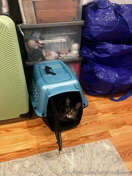 papas füße nur fans heiß Sammlung