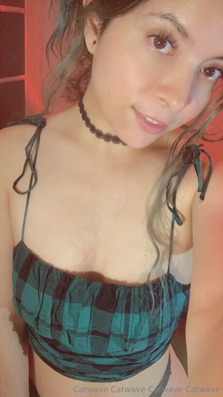 Catwave Heiße OnlyFans Inhalte