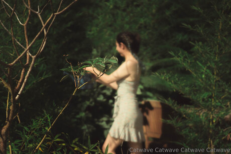 Catwave OnlyFans Nacktfotos