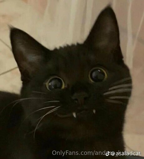 Andrea Ludmilla OnlyFans Leaj