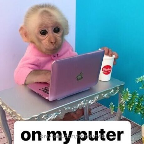 Itsm3wtw0 Nacktbilder von OnlyFans