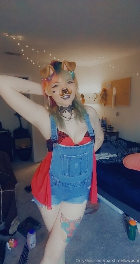 Marshmellowponi OnlyFans-Komplettinhalte