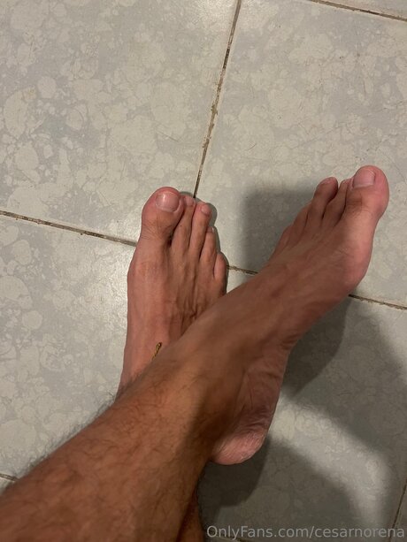 Cesarnorena Nackt auf OnlyFans