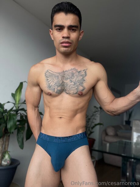 Cesarnorena OnlyFans