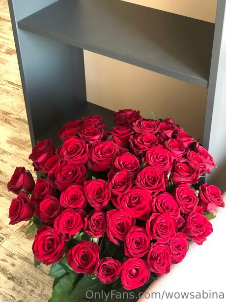 Wowsabina Nacktbilder geleakt OnlyFans Nacktporno