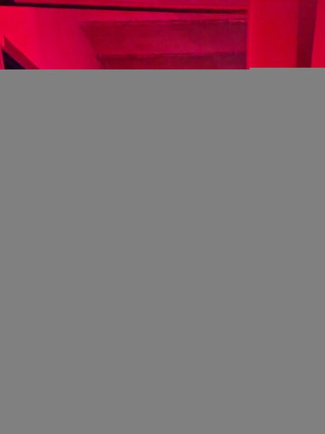 Rfk Raw OnlyFans Nackt Leak