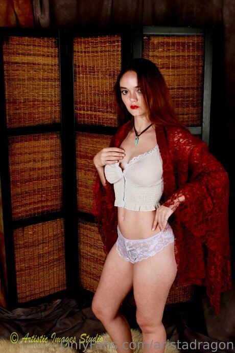 Aristadragon OnlyFans OnlyFans