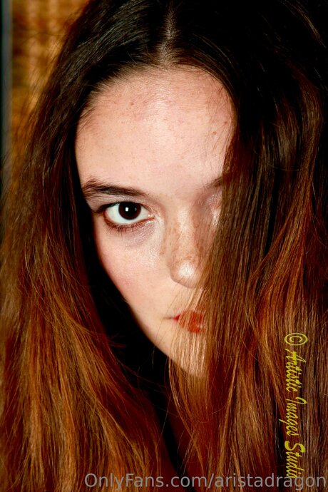 Aristadragon Leaked OnlyFans Porn
