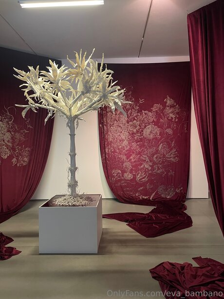 Eva Bambano OnlyFans Bilder