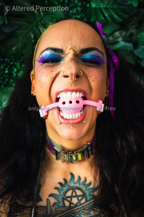 Novemberreign Free Auf OnlyFans