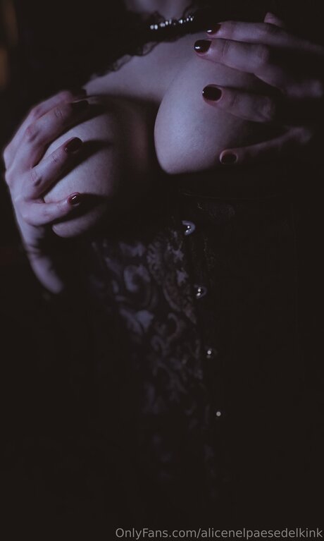 Alicenelpaesedelkink OnlyFans Leaks