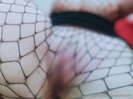 Alicenelpaesedelkink XXX Leak OnlyFans