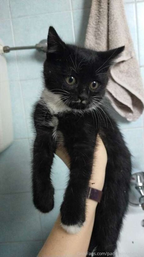 Padelleinsalamoia NurlyFans-Pornoleaks