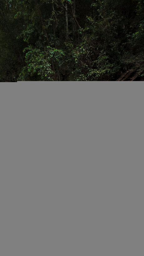 Isisoncam OnlyFans-Bilder