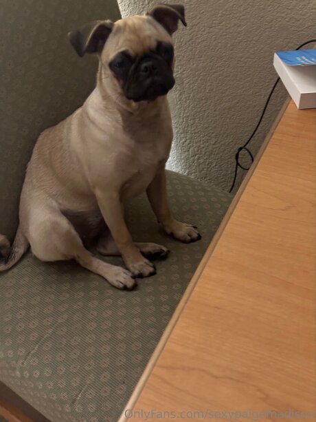 Sexypaigemadison Model OnlyFans Foto