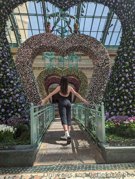 Littlefoxxyboo Leak von OnlyFans