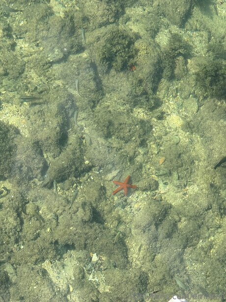 Emadoll Unzensiert OnlyFans