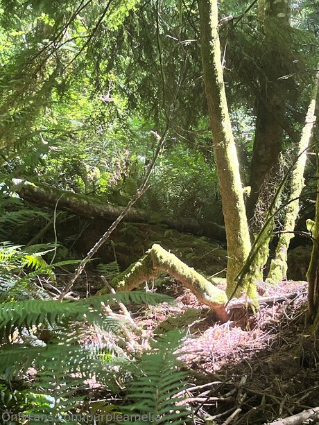 Offgridamelia OnlyFans