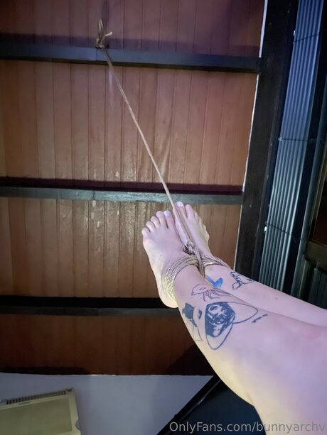 Bunnyarchv Nacktbilder von OnlyFans