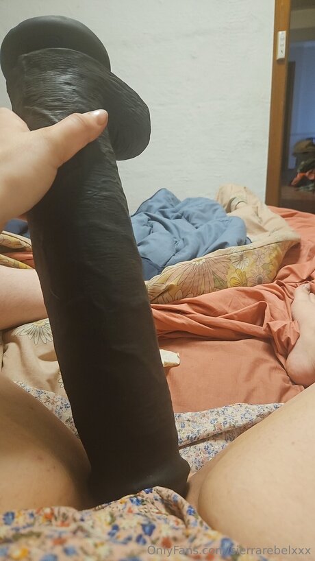 Sierrarebelxxx OnlyFans geleakte Bilder