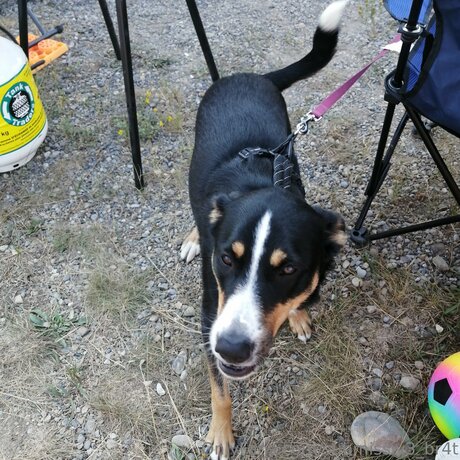 Submissiv3 Br4t Leak von OnlyFans Pornografie