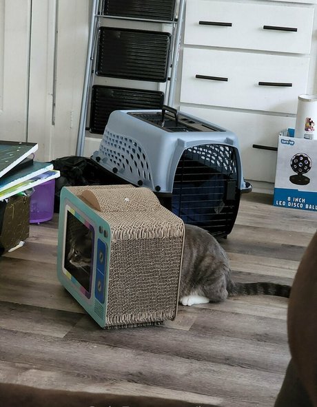 izzy hellbourne OnlyFans Nackt Content