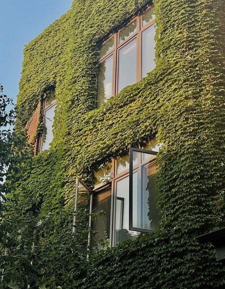 bikini ginger onlyfans schön Medien