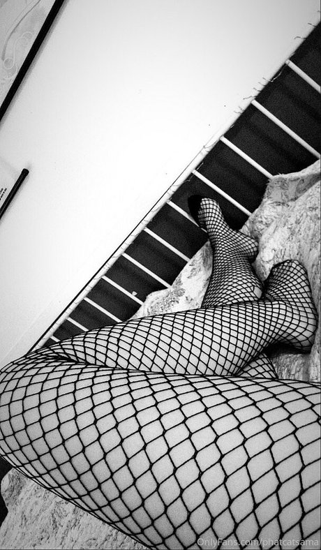 phatcatsama OnlyFans-Creator