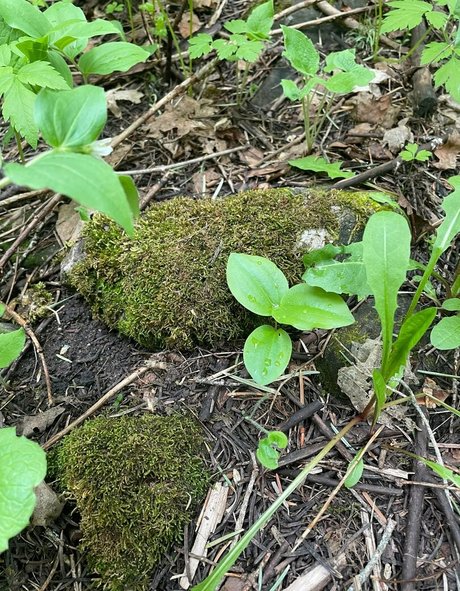 crystallizedfairy OnlyFans