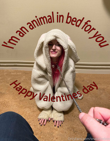 snakefoxbox OnlyFans explizite Inhalte