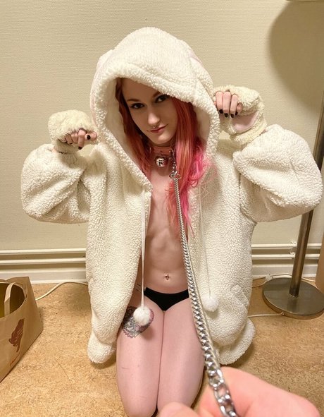 snakefoxbox Kostenloses OnlyFans