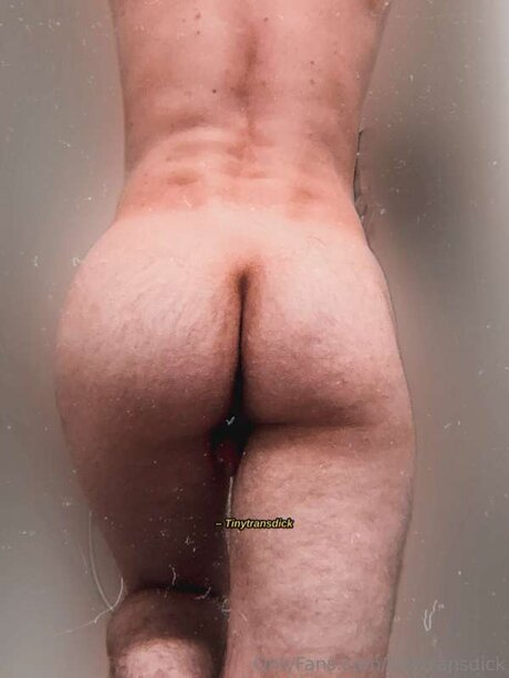 Tinytransdick Nacktbilder OnlyFans Geleakt