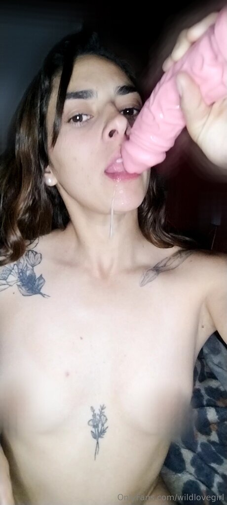 Wildlovegirl OnlyFans