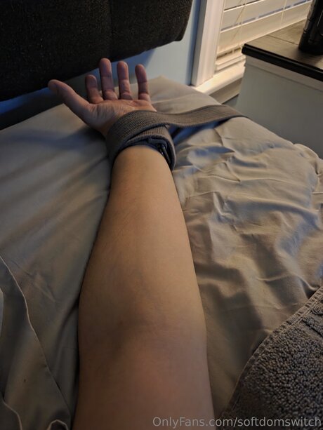 Softdomswitch OnlyFans Modelfoto
