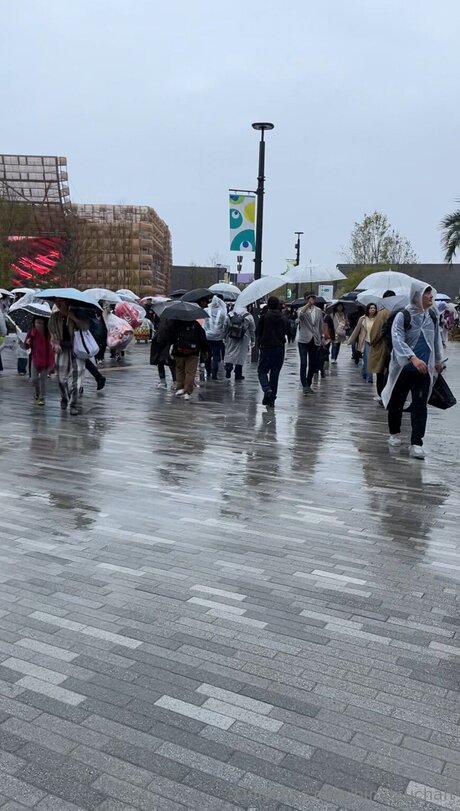 Himitsuchan OnlyFans Pornografie