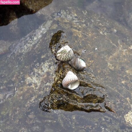 Girls HuntersBeauty OnlyFans Leak