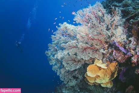 Jessica Segura Nackt OnlyFans