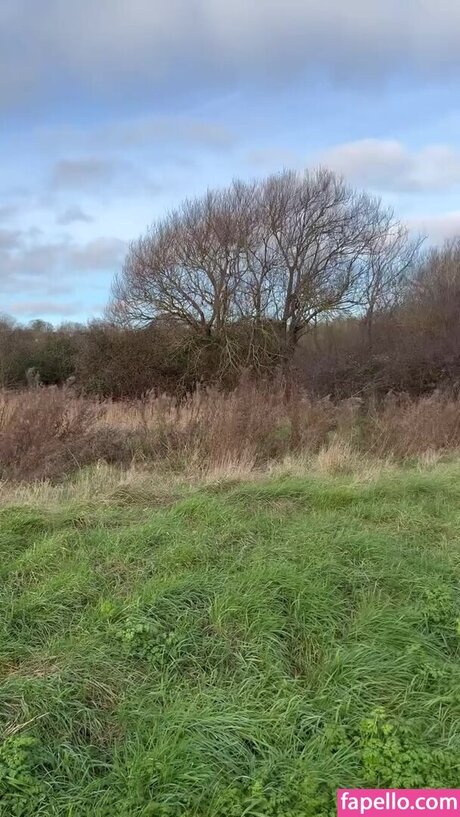 Daisy May Profilbild