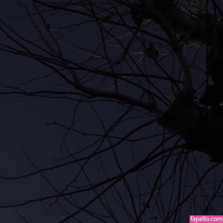 Mary Tachibana OnlyFans XX