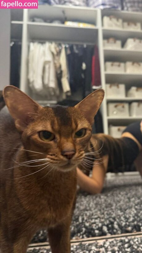 influesii753 Nacktbilder geleakt