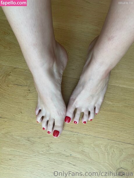 czihuahua OnlyFans-Archiv