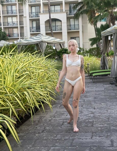 Neoliberal Hell OnlyFans Archiv