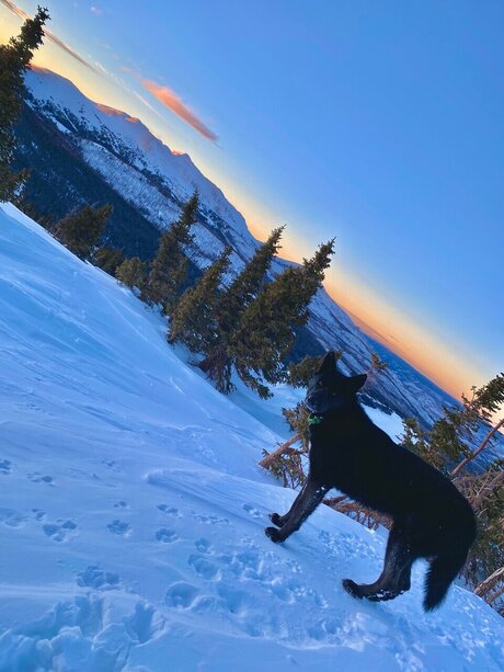 Thomas D XXX OnlyFans